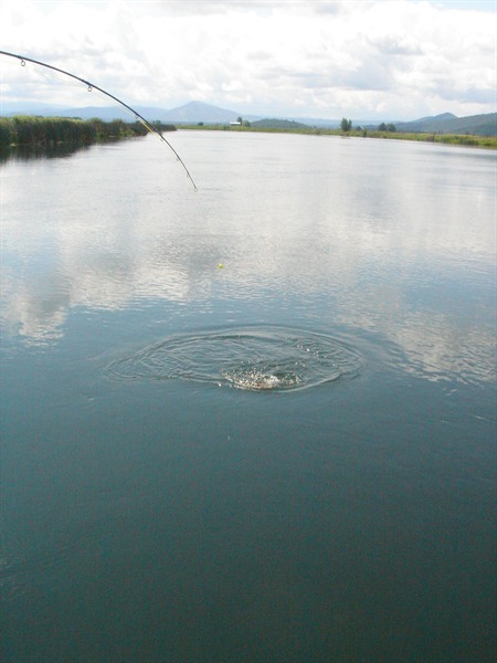Fall River Toilet Flushing