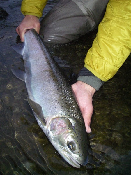 Fishing Report Image