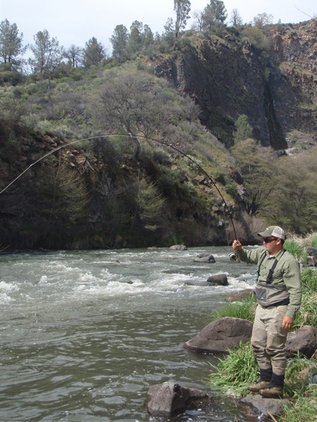 Darrin hooked up on a nice bow