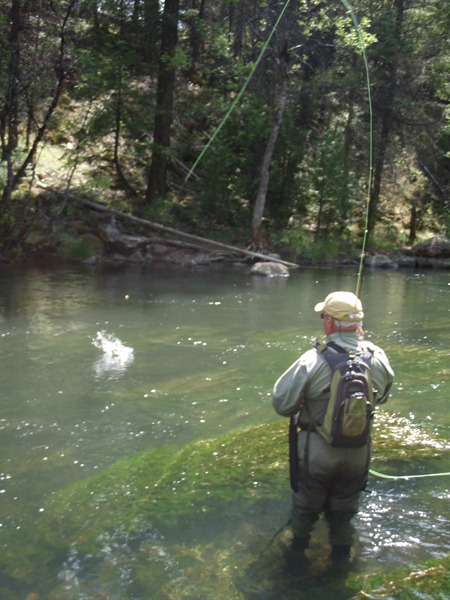 Rich landing a fish on Burney Creek