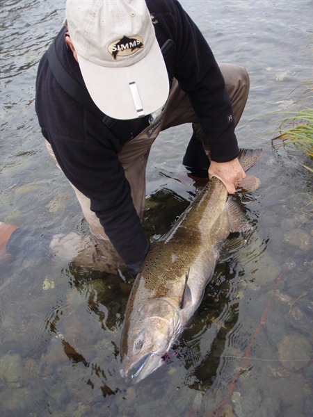 Ted with a swung up salmon