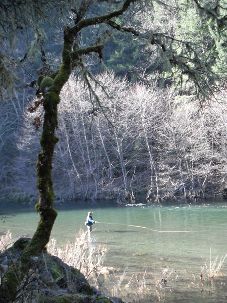 swinging on a unmentioned stream