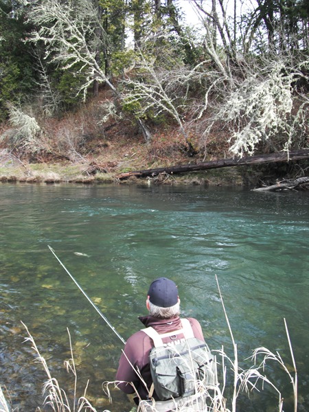 MP hooked up on Applegate