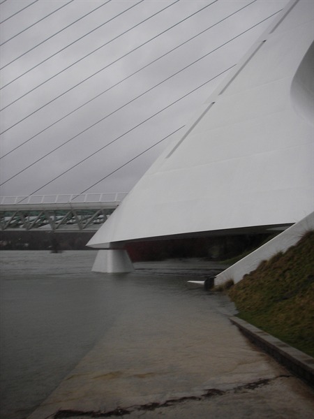 Sundial Bridge at 50,000cfs