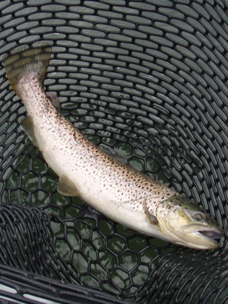 Fishing Report Image