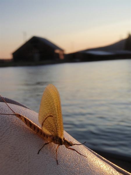 have you booked your hex trip yet?