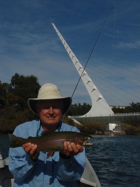 This is a different huge fish on a dry