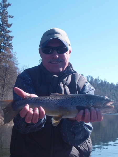 The browns were very active today