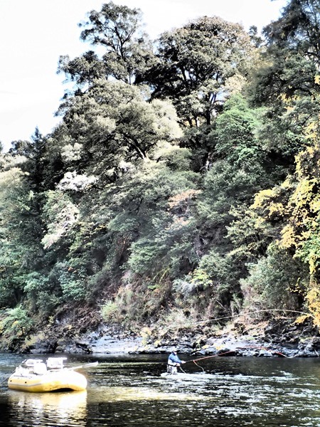 Fishing Report Image