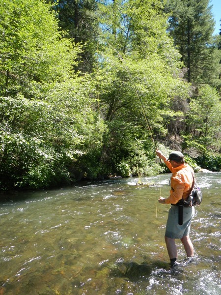 Ross hooked up on a dry-dropper rig