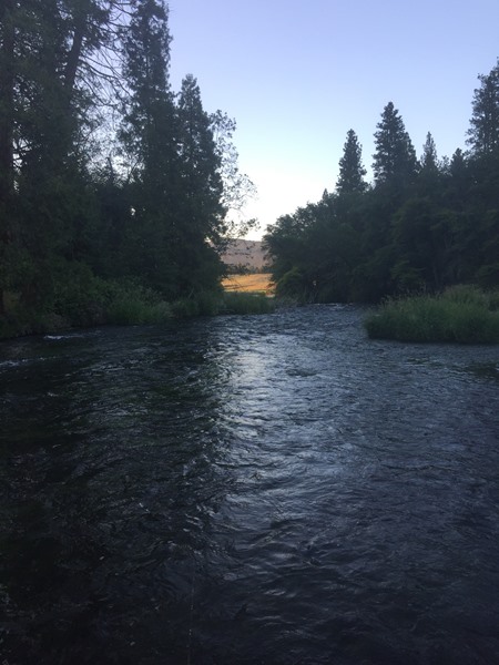 Where else would you rather be?