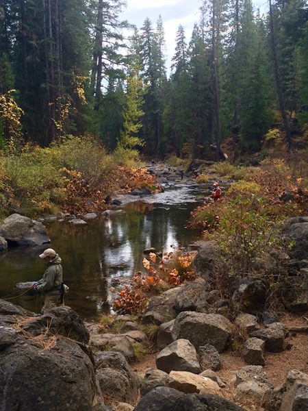 Using dry fly techniques on the upper river