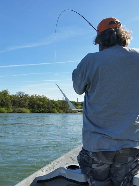 Hooked up below the Sundial Bridge