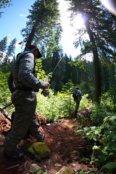 Hiking around in the beautiful forest the Mac runs through