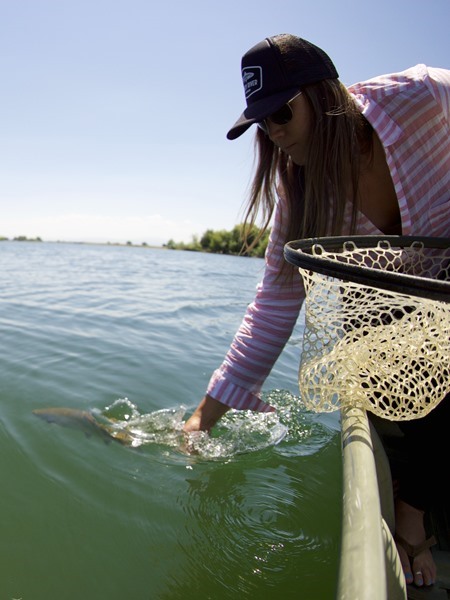 Leslie releasing a Fall River beauty