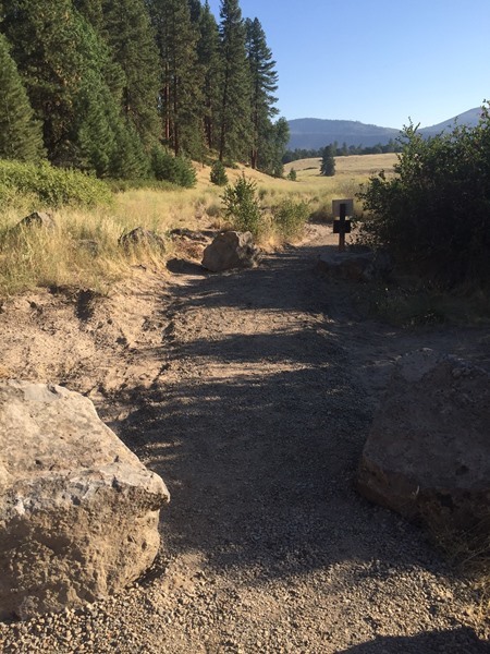 Nice and wide!  The new trail starting at Powerhouse #2 and wandering all the way to Carbon Flats