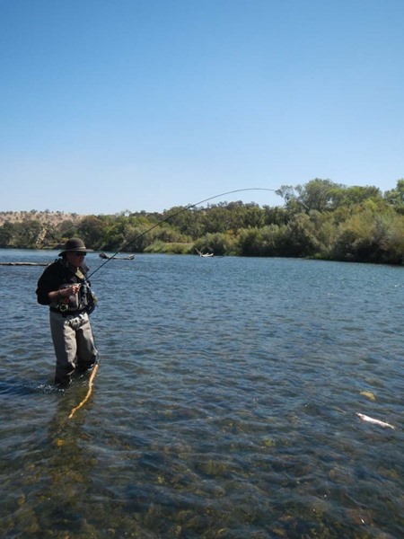 Wading the Lower Sac