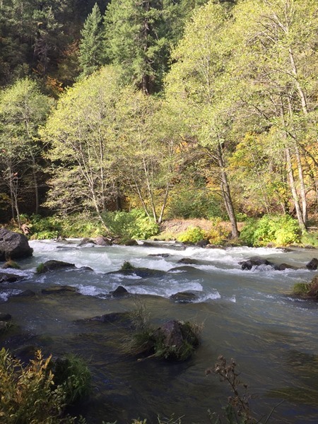 The beautiful fall colors of the McCloud