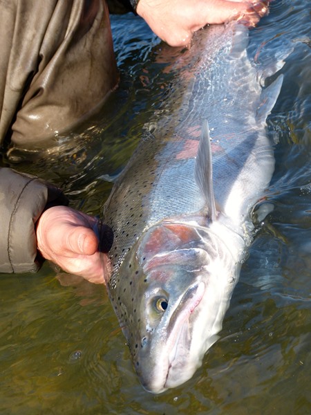 Fishing Report Image