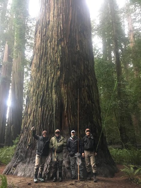 In the big trees on the coast. 