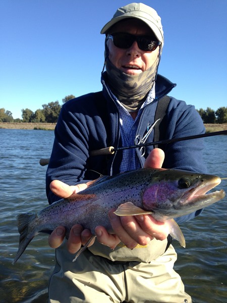 Battle Creek Steelhead