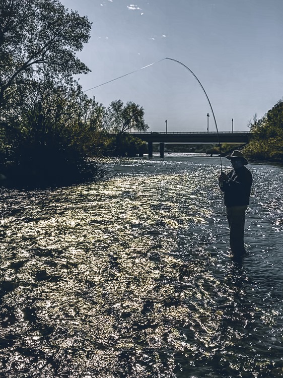 Bill, wet wading in October, hooked up on something big... a salmon? a steelhead? We don't know!