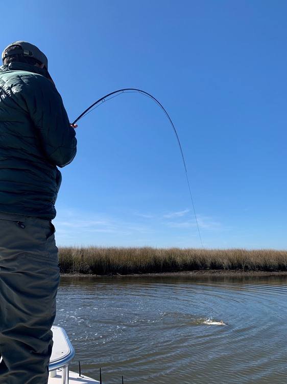 Hooked up in the beautiful marsh on the Gulf