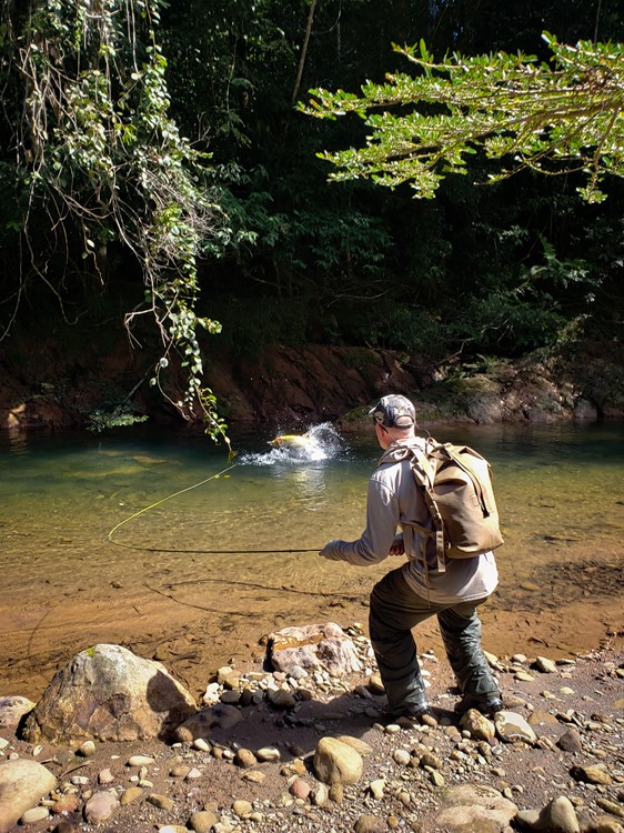 The water in the Amazon reminds me of the crystal clear rivers I use to guide in New Zealand