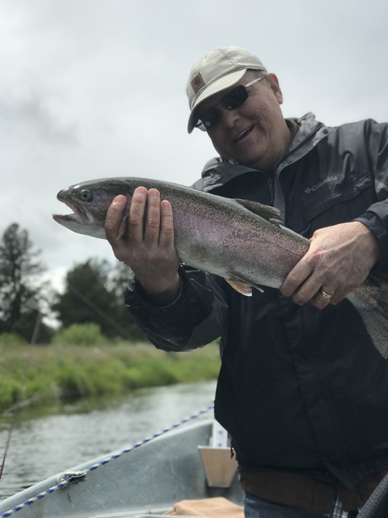 24” Redband
