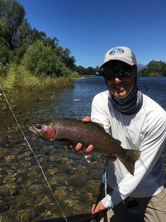 Lower Sac rainbow