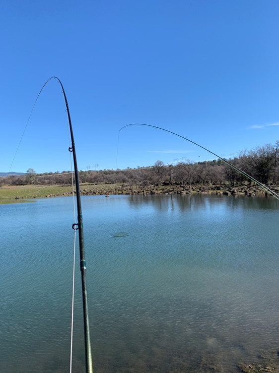 Fishing Report Image