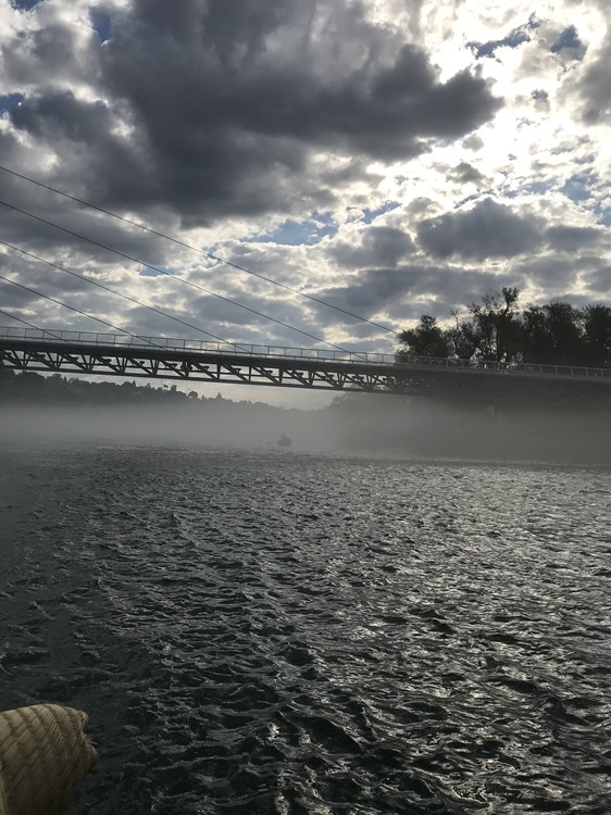 What are those dark things in the sky?