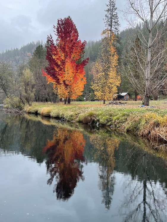 Autumn colors 