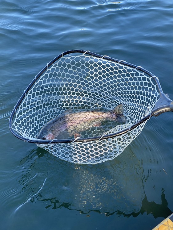 Fishing Report Image
