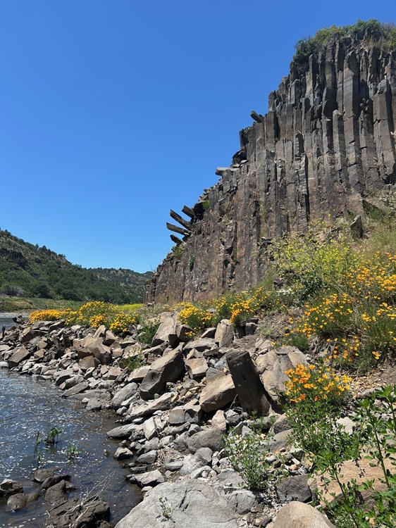 Columnar basalt formation