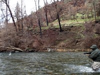 Trinity River Fishing Image