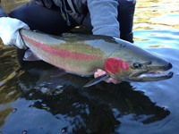 Trinity River Fishing Image