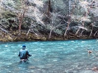 North Coast Fishing Image
