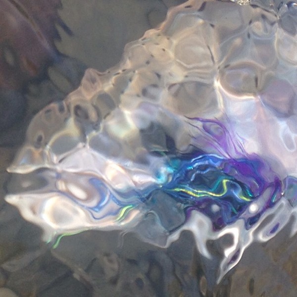 Fishing Report Image