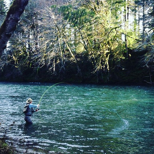 solitude swinging