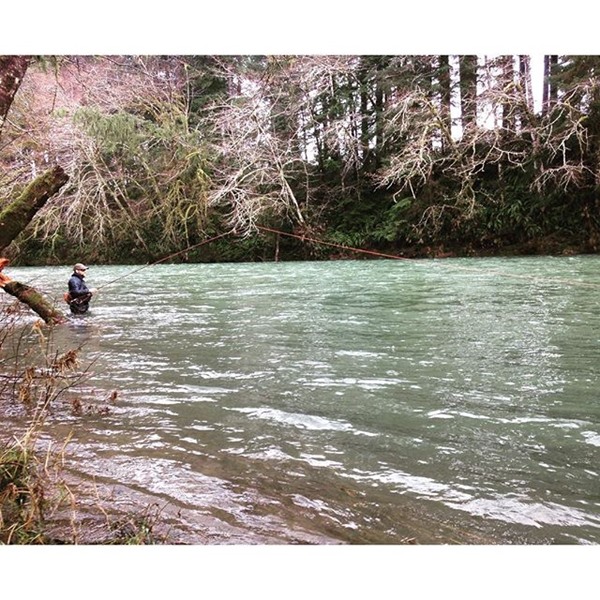 Swinging on a rainforest river