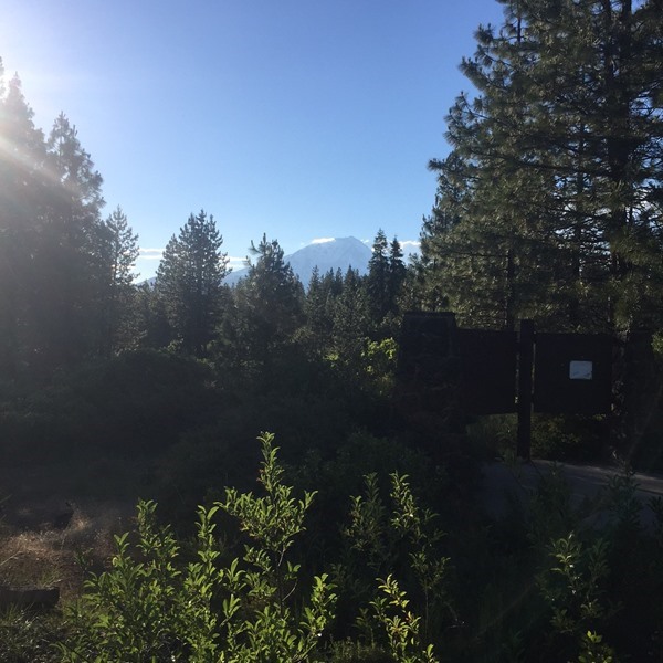 Spending all day in the shadow of Mt. Shasta