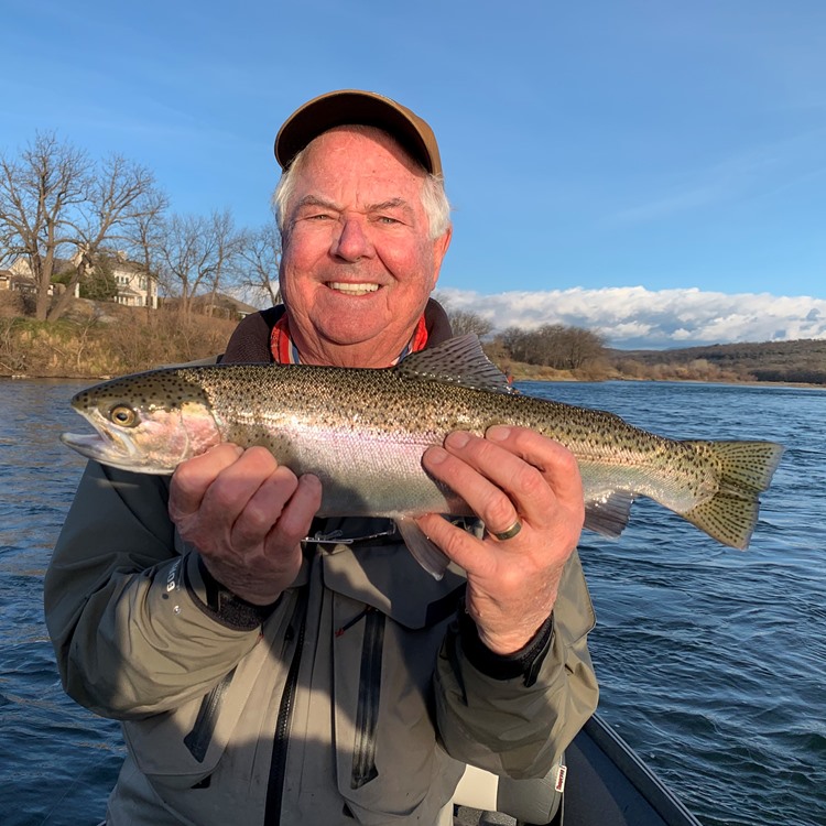 Jack with a Lower Sac steelhead