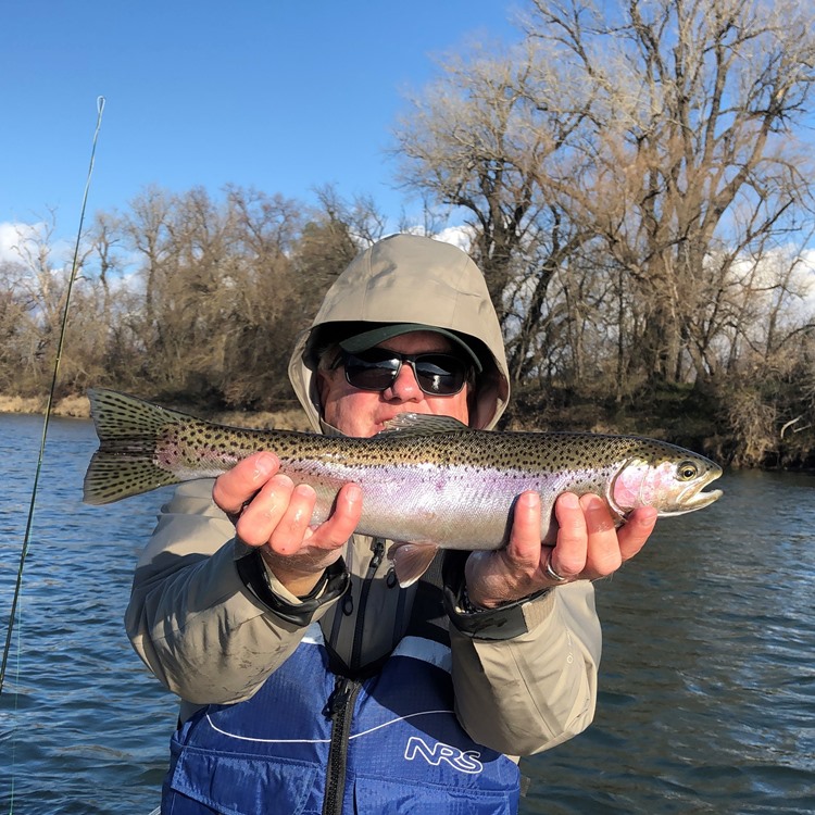 Jay with a Sac steelhead