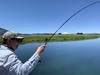 Fall River Fishing Image