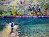 Trinity River Fishing Image
