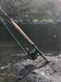 Trinity River Fishing Image