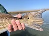 Hosted Travel Fishing Image