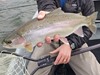 Feather River Fishing Image