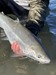 North Coast Fishing Image